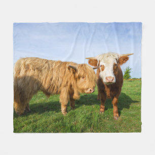 Young Highland Cows Fleece Blanket