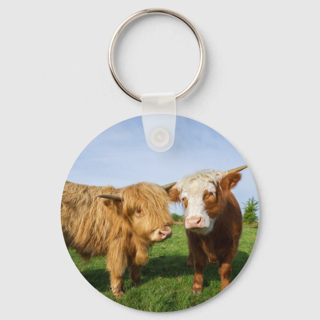 Young Highland Cows Key Ring (Front)