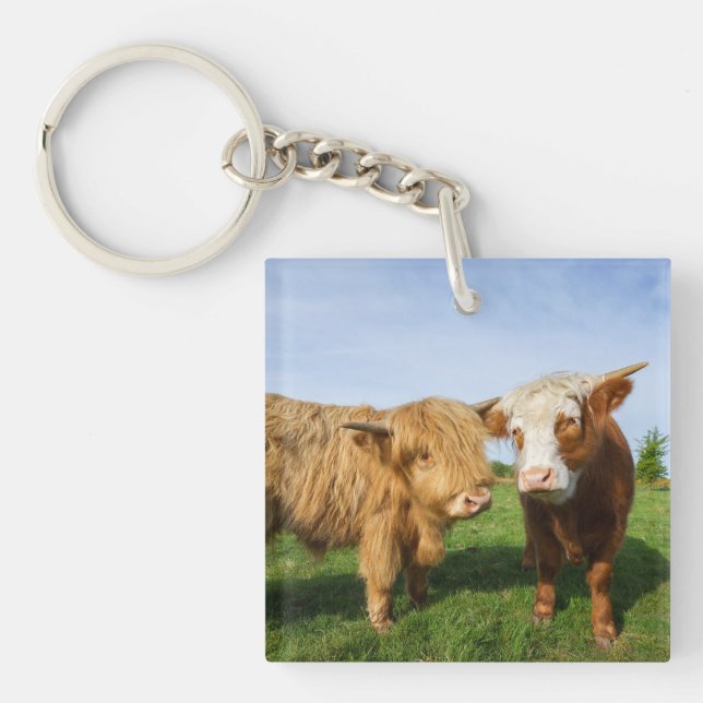 Young Highland Cows Key Ring (Front)