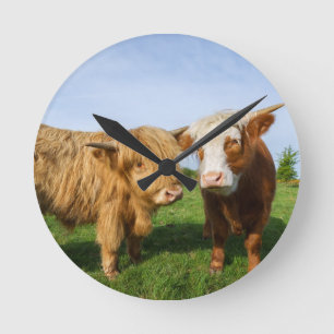 Young Highland Cows Round Clock