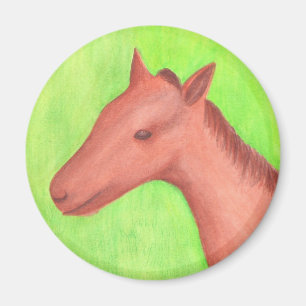 Young horse, pony, in watercolor Magnet