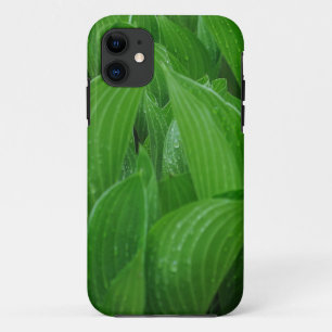 Young Hostas with Raindrops Case-Mate iPhone Case