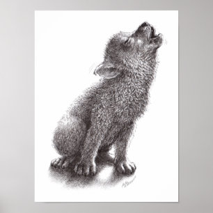 Young Howling Wolf Poster