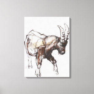 Young Ibex Gran Paradiso 2005 Canvas Print