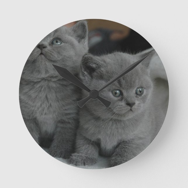 young kitten pet purr meow kitty cute cat round clock (Front)