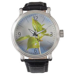 Young leaves watch