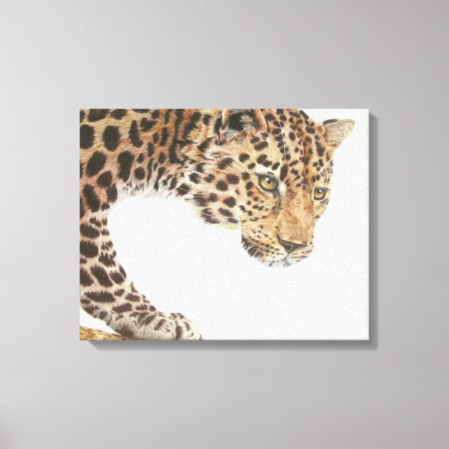 Young Leopard Painting Canvas Print (Front)