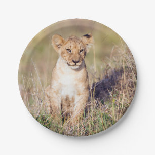 Young lion paper plate