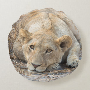 Young lion round cushion