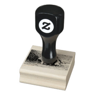 Young lion rubber stamp