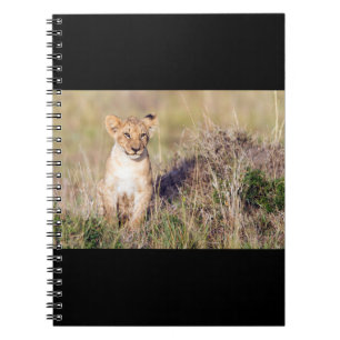 Young lion spiral notebook