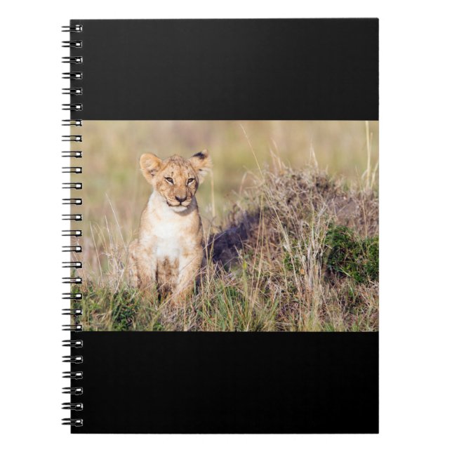 Young lion spiral notebook (Front)
