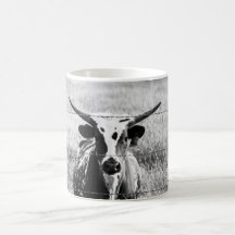 Young Longhorn