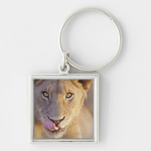Young Male Lion Key Ring
