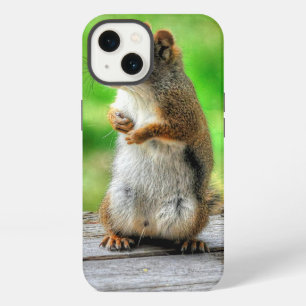 Young Male Squirrel Standing Wildlife Photo iPhone 13 Case