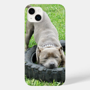 Young Male Staffy Playing With His Tyre, Case-Mate iPhone 14 Plus Case