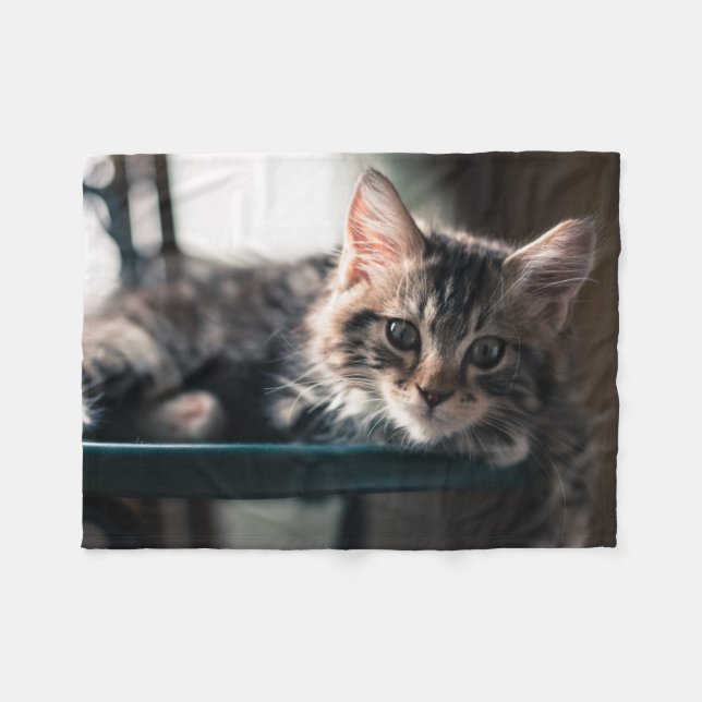 Young Male Tabby Cat 2 Fleece Blanket (Front (Horizontal))