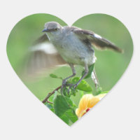 Young Mockingbird bird Stickers