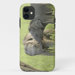 Young ones of Indian / Asian Elephant Case-Mate iPhone Case