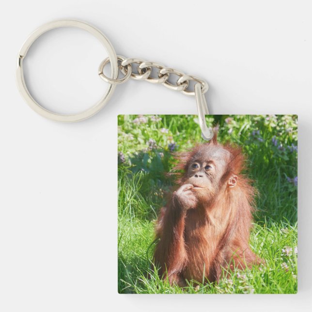 Young Orangutan Deep in Thought Key Ring (Front)