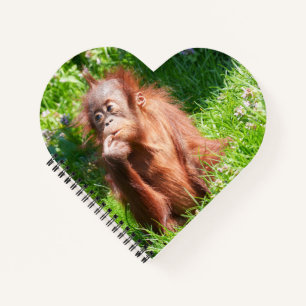 Young Orangutan Deep in Thought Notebook