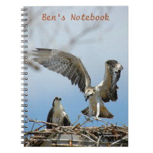 Young Ospreys Hawks Bens Notebook