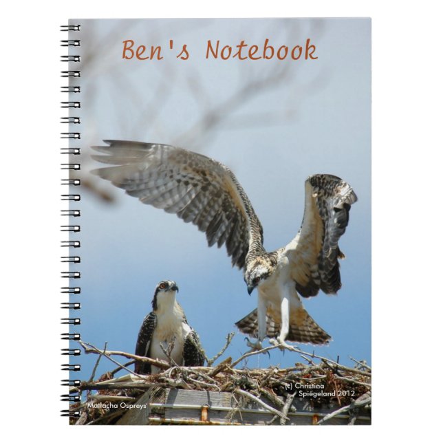 Young Ospreys Hawks Bens Notebook (Front)