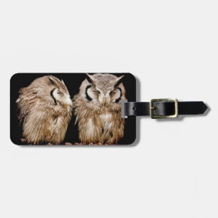 Young Owlets Luggage Tag