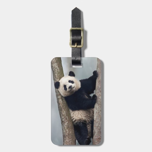 Young Panda climbing a tree, China Luggage Tag (Front Vertical)