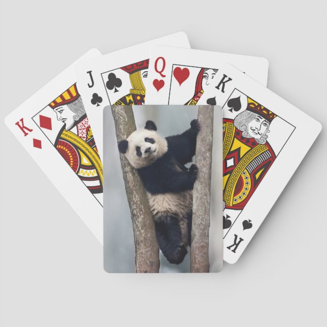 Young Panda climbing a tree, China Playing Cards (Back)