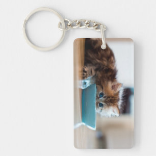 Young Persian Kitten Key Ring