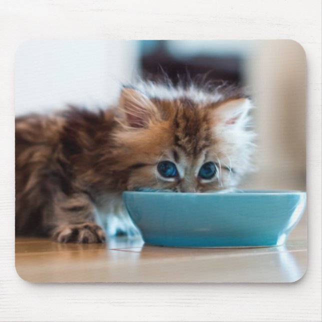 Young Persian Kitten Mouse Pad (Front)
