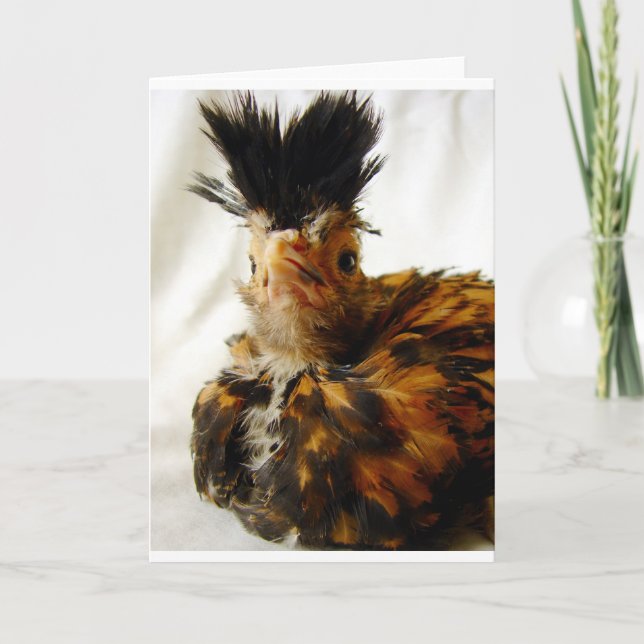 Young Polish Card (Front)