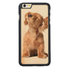 Young Puppy Listening to Music on Headphones