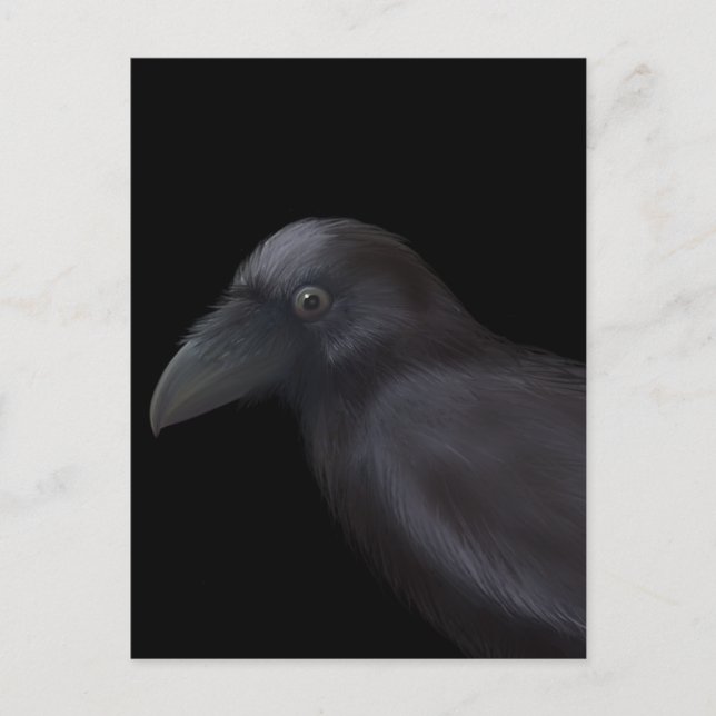 Young Raven Postcard (Front)
