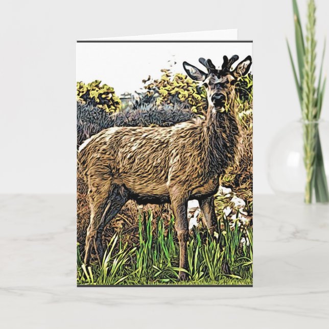 Young Red Deer Greeting Card (Front)