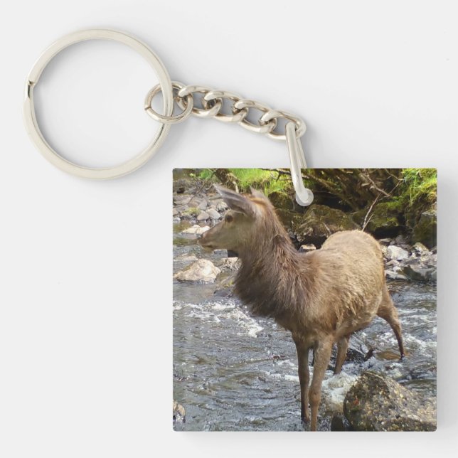 Young Red Deer on River  Key Ring (Front)