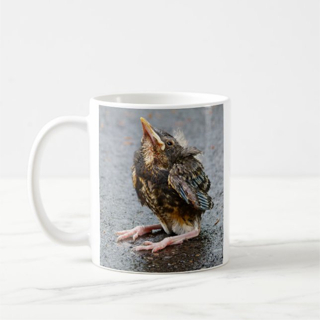 Young Robin Looking Up Mug (Left)