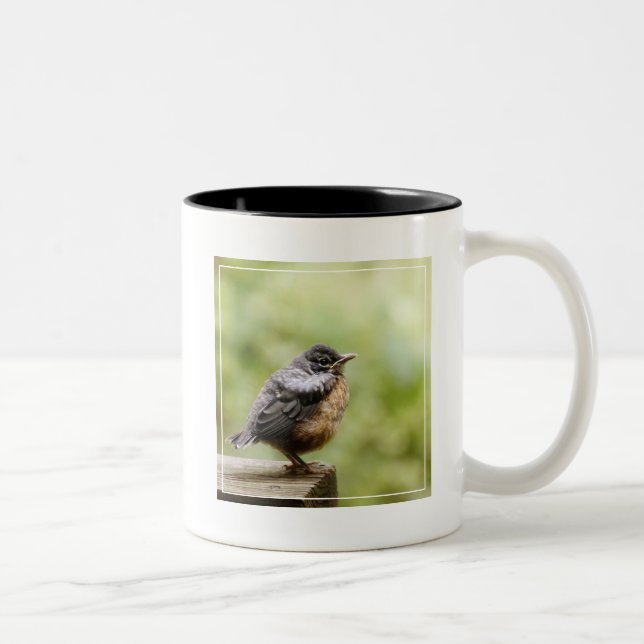 Young Robin Two-Tone Coffee Mug (Right)