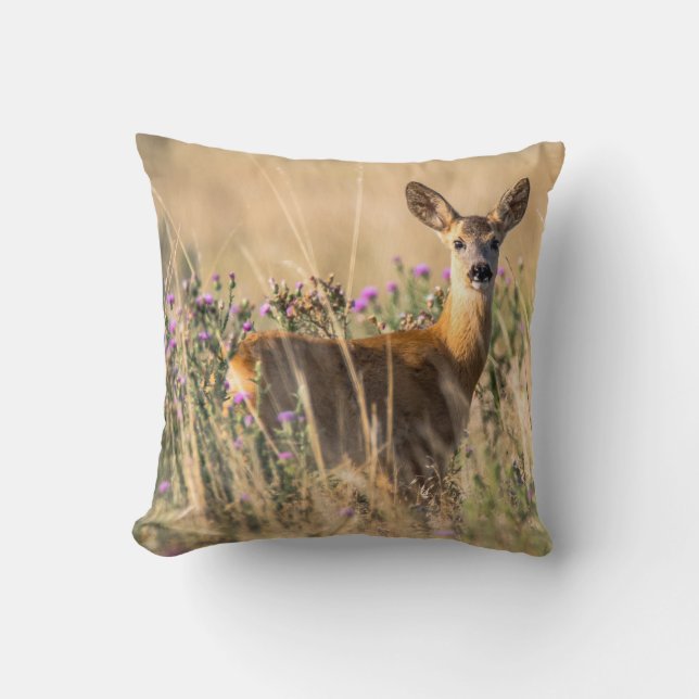 Young Roe Deer in Meadow Cushion (Front)