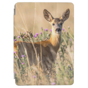 Young Roe Deer in Meadow iPad Air Cover