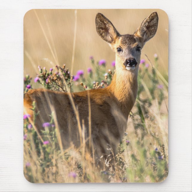 Young Roe Deer in Meadow Mouse Pad (Front)