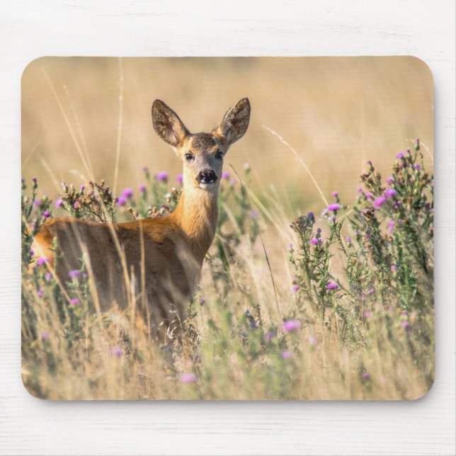 Young Roe Deer in Meadow Mouse Pad (Front)