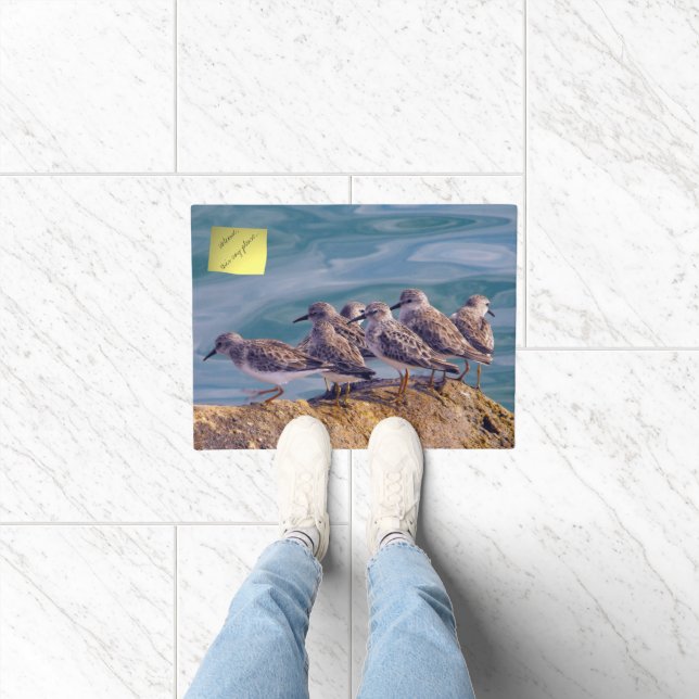 Young Ruddy Turnstones Doormat (Indoor)