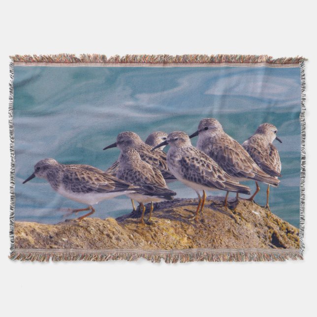 Young Ruddy Turnstones Throw Blanket (Front)