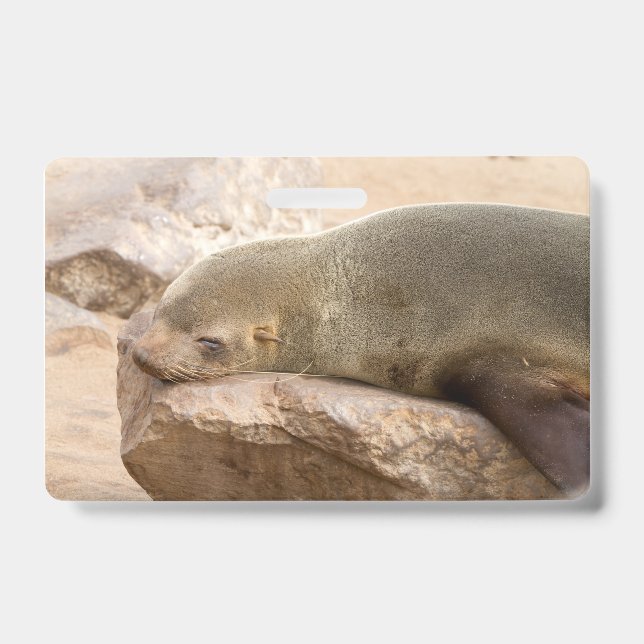 Young sea lion ID badge (Front)