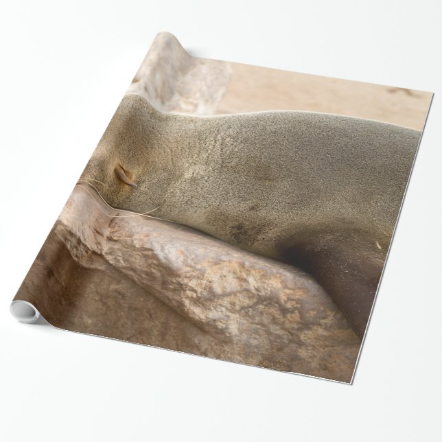 Young sea lion wrapping paper (Unrolled)