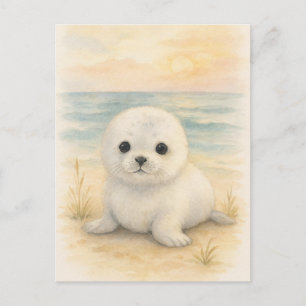 Young Seal Baby Wild Animals Postcard