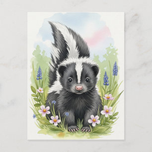Young Skunk Baby Wild Animals Postcard