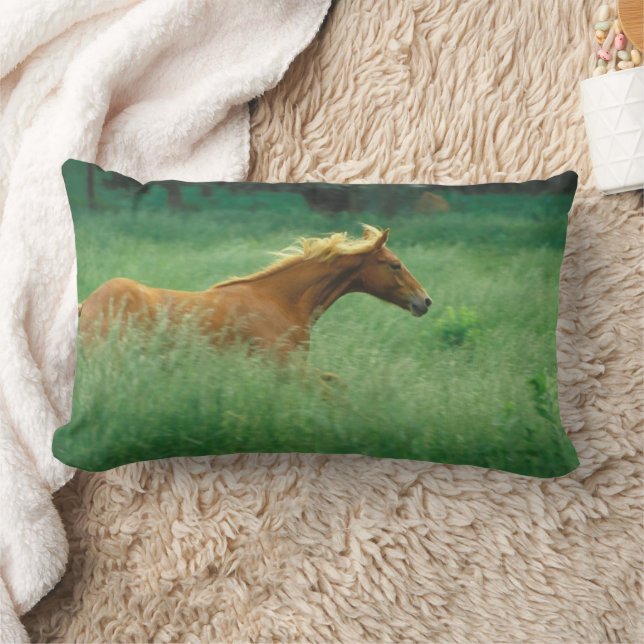 Young Stallion Runs Through Meadow Lumbar Cushion (Blanket)